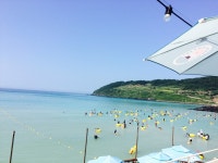 제주도 조천읍 함덕서우봉해변 함덕해수욕장 - 엽기사진실 - 이종격투기 제주도 조천읍 함덕서우봉해변 함덕해수욕장