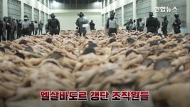 엘살바도르 갱단원 2천명, 초대형 교도소 수감 - 엽기사진실 - 이종격투기 엘살바도르 갱단원 2천명, 초대형 교도소 수감