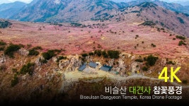 대구 달성 대견사 - 엽기사진실 - 이종격투기 대구 달성 