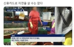 신용카드로 살 수 없는 것 - 엽기사진실 - 이종격투기 신용카드로 살 수 없는 것