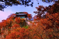 더쿠 - [불교 사찰] 경북 포항 오어사.jpg