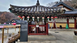 경기도 의왕 청계사 - 엽기사진실 - 이종격투기 경기도 의왕 