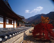 경북 청도 운문사 - 엽기사진실 - 이종격투기 경북 청도 