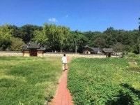 ■ 경주 위치 : 센과 치히로의 칼국수 집 - 엽기사진실 - 이종격투기 ■ 경주 위치 : 센과 치히로의 칼국수 집