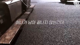 신월 IC는 왜 욕나오는걸까 - 엽기사진실 - 이종격투기 신월 IC는 왜 욕나오는걸까