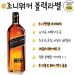 마트 양주 친구들 - 엽기사진실 - 이종격투기 마트 양주 친구들