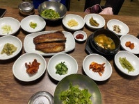 안동 간고등어 - 엽기사진실 - 이종격투기 안동 