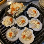 조개구이의 왕! - 엽기사진실 - 이종격투기 조개구이의 왕!