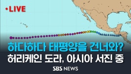 8호 태풍이 될 가능성이 높은 태평양 건너오는 허리케인 도라... 이종격투기 8호 태풍이 될 가능성이 높은 태평양 건너오는 허리케인 도라