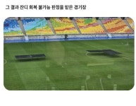 수원월드컵 경기장 잔디. 교체 1년만에 회복 불능 판정 - 엽기사진실 - 이종격투기 수원월드컵 경기장 잔디. 교체 1년만에 회복 불능 판정