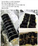 무시무시한 김밥 - 엽기사진실 - 이종격투기 무시무시한 김밥