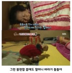 할머니의 강아지는 3년째 자라지 않았지만.jpg - 엽기사진실 - 이종격투기 할머니의 강아지는 3년째 자라지 않았지만.jpg