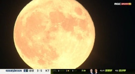 KBO가 말아주는 슈퍼 블루문 - 엽기사진실 - 이종격투기 KBO가 말아주는 슈퍼 블루문