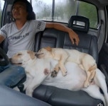 아저씨와 떠나는 여행 - 엽기사진실 - 이종격투기 아저씨와 떠나는 여행