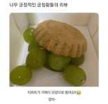 긍정왕들의 배달음식 후기.jpg - 엽기사진실 - 이종격투기 긍정왕들의 배달음식 후기.jpg