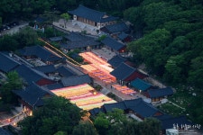 부산 금정구 범어사 - 엽기사진실 - 이종격투기 부산 금정구 
