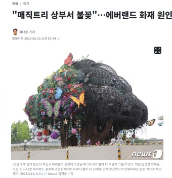 에버랜드 매직트리 화재 후 근황 - 엽기사진실 - 이종격투기 에버랜드 매직트리 화재 후 근황