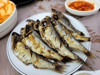 집나간 며느리도 돌아온다는 가을전어 - 엽기사진실 - 이종격투기 집나간 며느리도 돌아온다는 가을전어