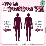 숏다리 롱다리 구별법 - 엽기사진실 - 이종격투기 숏다리 롱다리 구별법