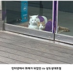 인터넷에서 유명한 편의점 알바냥이들.jpg - 엽기사진실 - 이종격투기 인터넷에서 유명한 편의점 알바냥이들.jpg