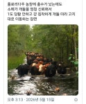 플로리다 농장에 홍수가 났는데 - 엽기사진실 - 이종격투기 플로리다 농장에 홍수가 났는데