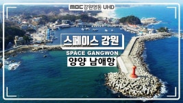 강원도 양양 "남애항" - 엽기사진실 - 이종격투기 강원도 양양