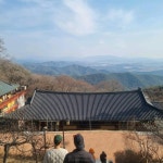 경북 구미 "도리사" - 엽기사진실 - 이종격투기 경북 구미 
