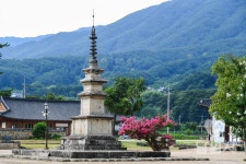 전북 남원 실상사 - 엽기사진실 - 이종격투기 전북 남원 