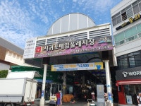 제주도 서귀포매일올레시장 - 엽기사진실 - 이종격투기 제주도 