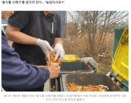 개농장 뜬장을 직접 체험하며 음식쓰레기를 먹은 기자님 - 엽기사진실 - 이종격투기 개농장 뜬장을 직접 체험하며 음식쓰레기를 먹은 기자님