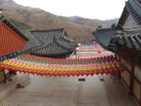 경기도 의왕 청계사 - 엽기사진실 - 이종격투기 경기도 의왕 