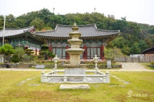 세종시 비암사 - 엽기사진실 - 이종격투기 세종시 