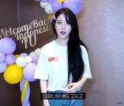 오늘자 아이유티비(자카르타 콘서트) - 엽기사진실 - 이종격투기 오늘자 아이유티비(자카르타 콘서트)