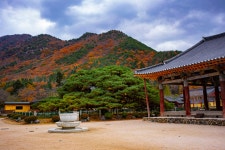 경북 청도 운문사 - 엽기사진실 - 이종격투기 경북 청도 