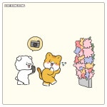 사진 찍어줄 때 한국인 특징 ｜ manhwa - 엽기사진실 - 이종격투기 사진 찍어줄 때 한국인 특징 ｜ manhwa