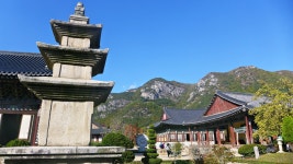 경북 청도 운문사 - 엽기사진실 - 이종격투기 경북 청도 