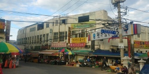 전북 전주 남부시장 - 엽기사진실 - 이종격투기 전북 전주 