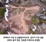 고민이 많아 보였던 공룡의 발자국 - 엽기사진실 - 이종격투기 고민이 많아 보였던 공룡의 발자국