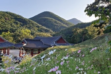 경북 영천 은해사 - 엽기사진실 - 이종격투기 경북 영천 