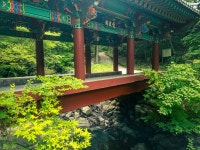 전남 곡성 태안사 - 엽기사진실 - 이종격투기 전남 곡성 