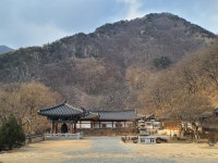 충북 영동 반야사 - 엽기사진실 - 이종격투기 충북 영동 