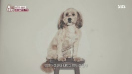 반려견이 곧 떠난다는 걸 직감하는 순간 - 엽기사진실 - 이종격투기 반려견이 곧 떠난다는 걸 직감하는 순간