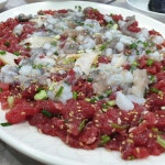 목포 낙지탕탕이 - 엽기사진실 - 이종격투기 목포 낙지탕탕이