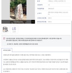 대충보면 비석 낙서한거 같이 보임.jpg - 엽기사진실 - 이종격투기 대충보면 비석 낙서한거 같이 보임.jpg