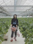 뉴진스 딸기농장을 부탁해 - 엽기사진실 - 이종격투기 뉴진스 딸기농장을 부탁해
