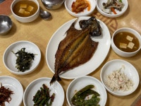 안동 간고등어 - 엽기사진실 - 이종격투기 안동 