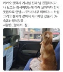 카카오펫 택시에서 차별받음 - 추천게시판 ‥‥‥‥、 - 도탁스 (DOTAX) 카카오펫 택시에서 차별받음