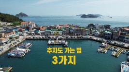 제주 추자도 - 엽기사진실 - 이종격투기 제주 