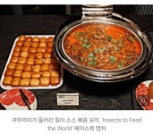 인류의 미래 식량 - 엽기사진실 - 이종격투기 인류의 미래 식량