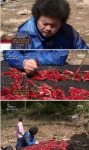나는 자연인이다 레전드편 - 엽기사진실 - 이종격투기 나는 자연인이다 레전드편